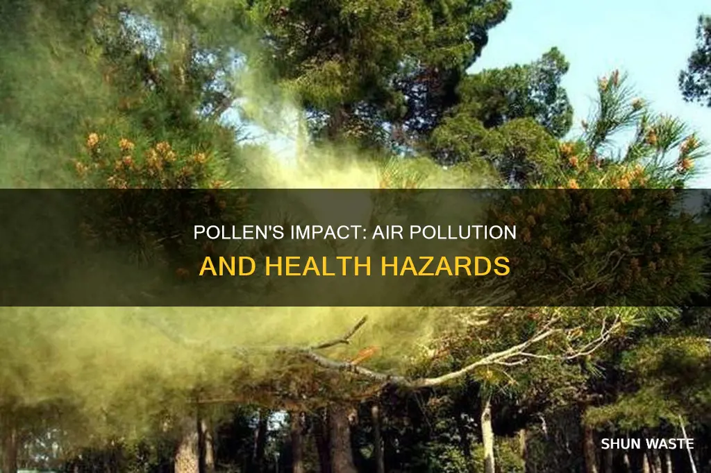 how pollen causes air pollution