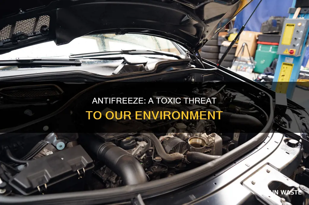 how pollutant is antifreeze