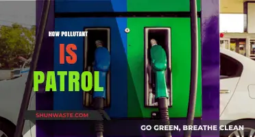 Patrol Pollution: Understanding the Impact on Our Planet
