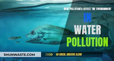 Water Pollution: Understanding Environmental Impact of Pollutants