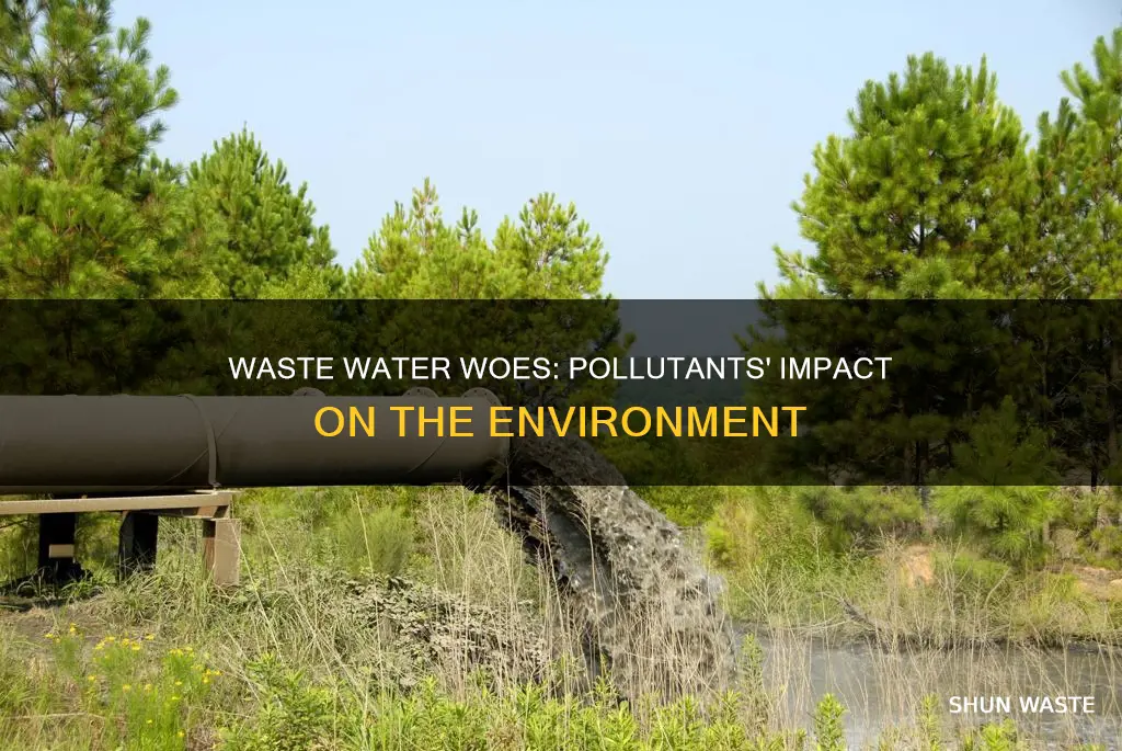 how pollutants affect the environment waste water