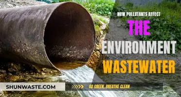 Wastewater Pollution: Environmental Impact of Pollutants