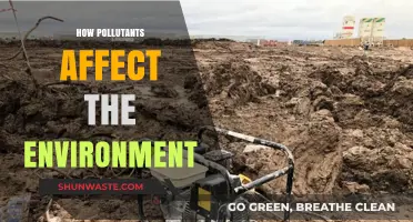 Pollution's Impact: How Harmful Substances Destroy Our Environment