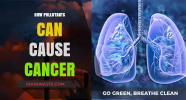 Unveiling the Cancer-Causing Power of Environmental Pollutants