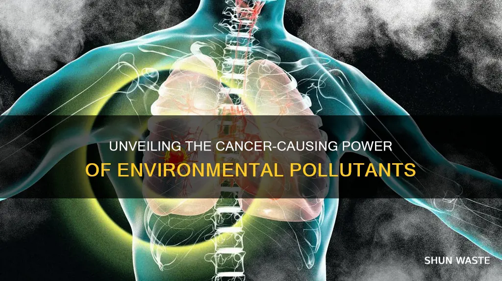 how pollutants can cause cancer