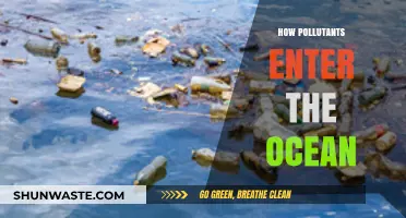 The Ocean's Pollutants: How They Enter Our Seas
