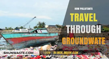 Groundwater Contamination: Pollutants' Journey and Impact
