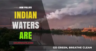Indian Waters: Polluted and Toxic?