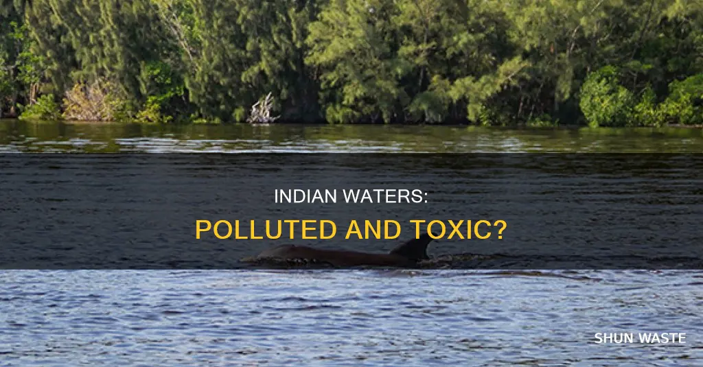 how pollute indian waters are