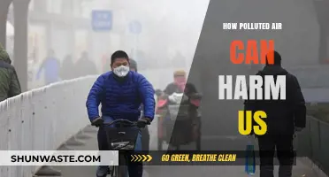 Breathing Trouble: Unveiling the Hazards of Air Pollution