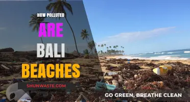 Bali Beaches: Paradise Lost to Pollution?