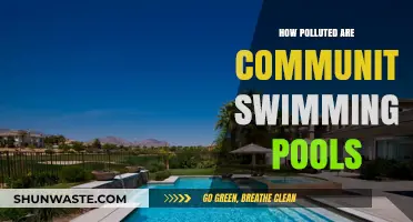 Swimming in a Soup of Germs and Bacteria?