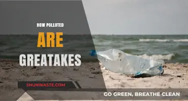 Great Lakes Pollution: A Growing Environmental Concern