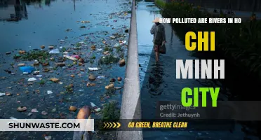 Ho Chi Minh's Rivers: Polluted and Dangerous?