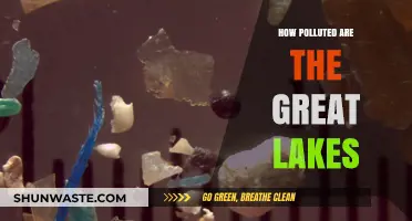 The Great Lakes: Polluted Paradise?