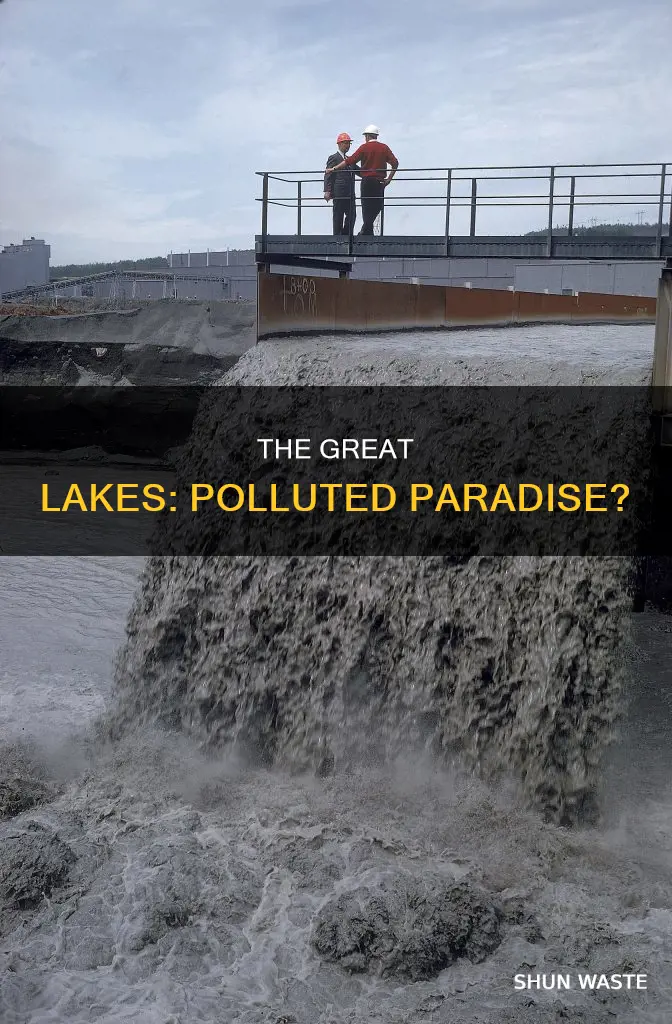 how polluted are the great lakes