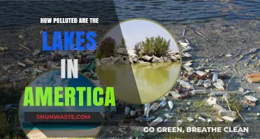 American Lakes: Polluted and Dangerous?