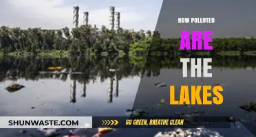 Lakes Under Threat: Pollution's Impact and Extent