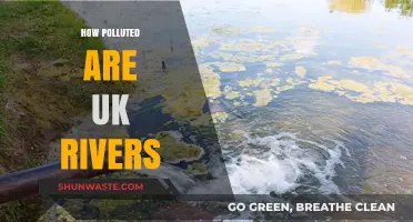 UK Rivers: Polluted and Dangerous?