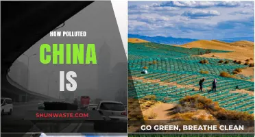 China's Pollution Crisis: A Dire Situation