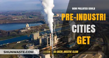 Pre-Industrial Cities: Pollution and Urban Life