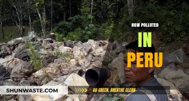 Peru's Pollution Problem: A Critical Overview