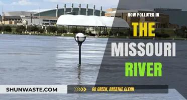 Missouri River Pollution: A Troubling Reality