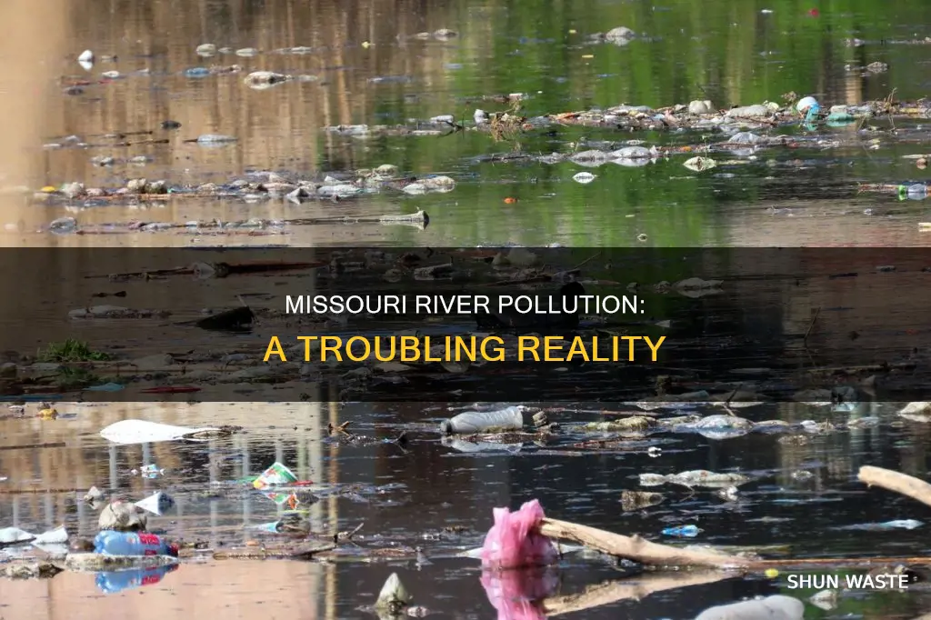 how polluted in the missouri river