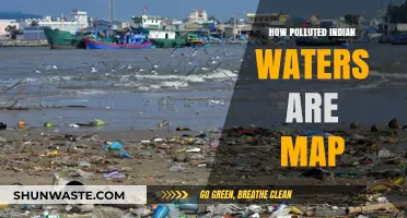 Indian Waters: Pollution Map and Its Impact