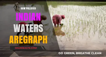 Indian Waters: Polluted and Dangerous