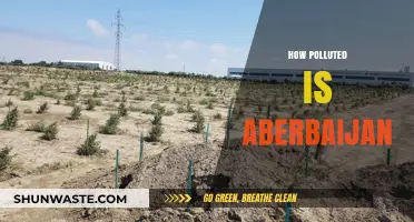 Azerbaijan's Pollution Problem: A Comprehensive Overview