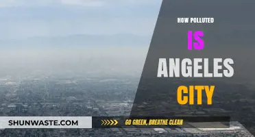 The Pollution Crisis in Angeles City