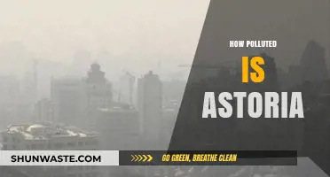 Astoria's Pollution Problem: A Troubling Reality