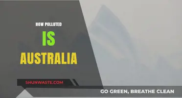 Australia's Pollution Problem: A Comprehensive Overview