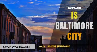Baltimore's Air and Water Pollution: A Troubling Reality