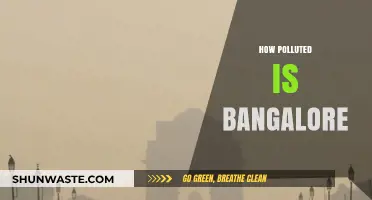 Bangalore's Pollution Crisis: A City Choking on Growth
