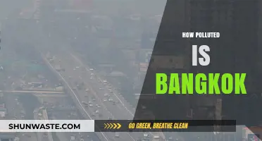 Bangkok's Air Quality: A City Choking on Pollution