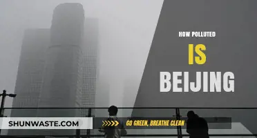 Beijing's Pollution Problem: A Critical Analysis