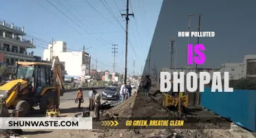 Bhopal's Pollution: A City's Battle