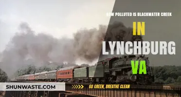 Blackwater Creek: Lynchburg's Polluted Secret?