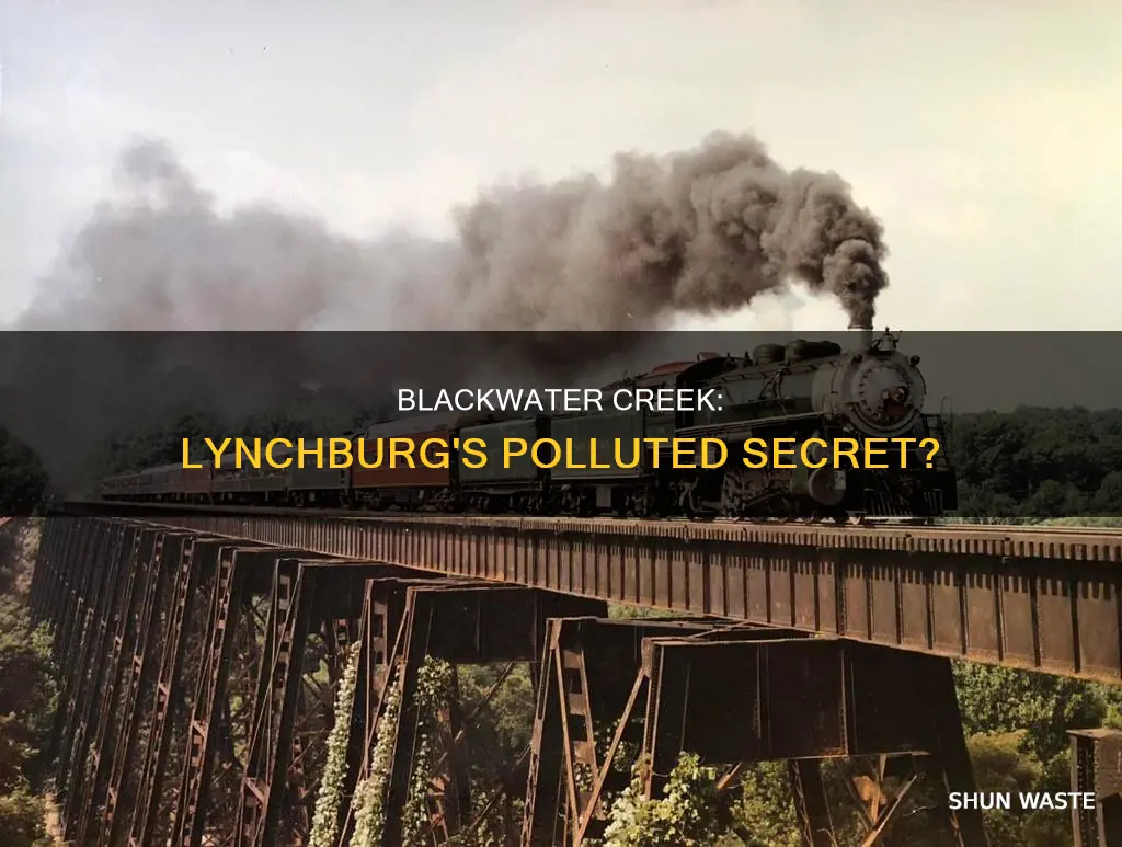 how polluted is blackwater creek in lynchburg va