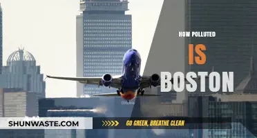 Boston's Pollution Problem: A Comprehensive Overview
