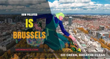 Brussels' Pollution Problem: A Comprehensive Overview