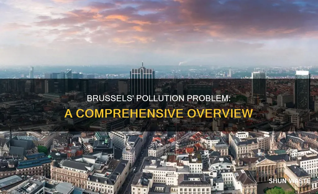how polluted is brussels