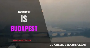 Budapest's Pollution Problem: A Comprehensive Overview