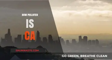 California's Pollution Crisis: A Troubling Reality