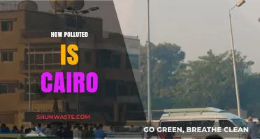 Cairo's Pollution Crisis: A City Choking on Smog