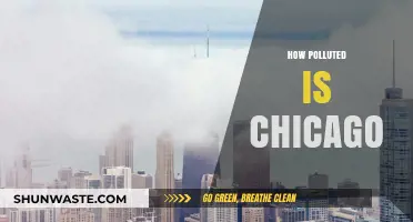 Chicago's Pollution Problem: A Comprehensive Overview