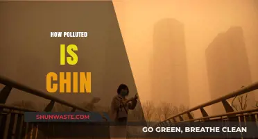 China's Pollution Crisis: A Dire Situation