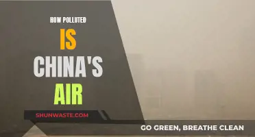 China's Air Pollution Crisis: How Bad Is It?